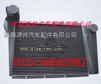 WG9112530364,重汽斯太爾中冷器 重汽斯太爾王中冷器,濟南源帥汽車配件有限公司