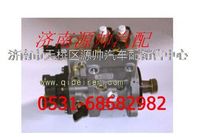 612630030057,濰柴WP12發(fā)動(dòng)機(jī)共軌噴油泵,濟(jì)南源帥汽車配件有限公司