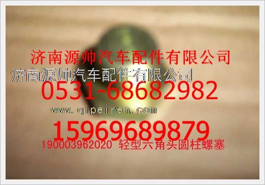 190003962020,重汽豪沃輕型六角頭園柱螺塞190003962020,濟南源帥汽車配件有限公司