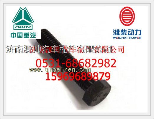 612630010069,濰柴氣缸蓋副螺栓612630010069,濟南源帥汽車配件有限公司