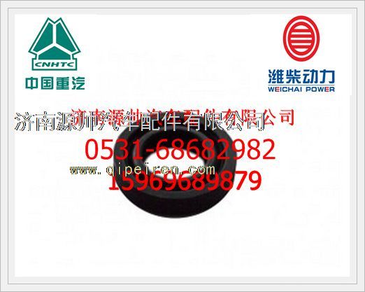 VG1500040014,重汽D1034發(fā)動機排氣門彈簧下座VG1500040014,濟(jì)南源帥汽車配件有限公司