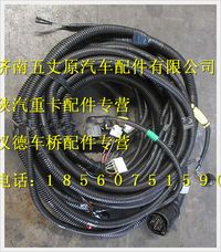 陜汽德龍M3000車(chē)架線束