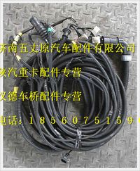 陜汽德龍M3000底盤(pán)線束