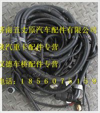 陜汽德龍M3000底盤(pán)線束