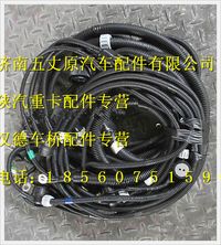 陜汽德龍M3000發(fā)動機、變速器底盤線束