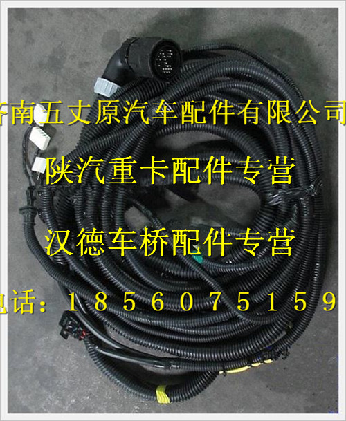 陜汽德龍MAN車(chē)架線束/DZ95189774371