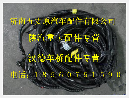 陜汽德龍MAN車(chē)架線(xiàn)束/DZ95189774461