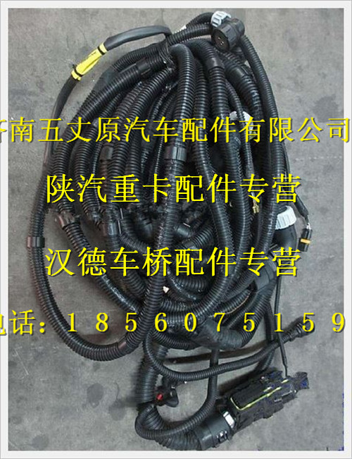 陜汽德龍奧龍發(fā)動機、變速器底盤線束/DZ95319777801