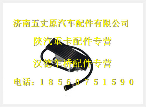 陜汽德龍奧龍國三車吊掛式油門腳踏/DZ93189570083