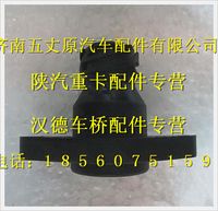 陜汽德龍車下啟動開關