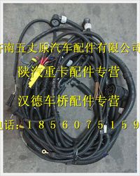 陜汽德龍底盤(pán)線束(二)