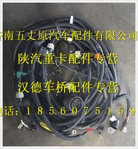 陜汽德龍底盤(pán)線束(二)