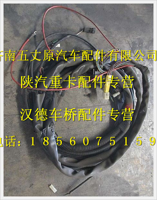 陜汽德龍發(fā)動機底盤電線束/DZ91189774160