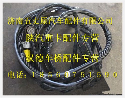 陜汽德龍發(fā)動機(jī)底盤電線束/DZ93189774561