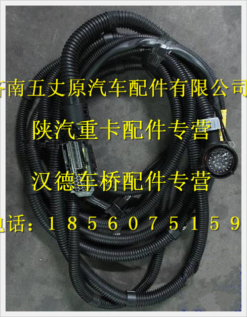 陜汽德龍發(fā)動機(jī)底盤電線束/DZ93319774562