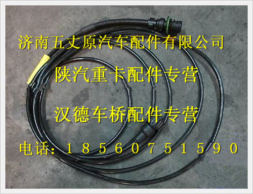 陜汽德龍電子里程表底盤(pán)線(xiàn)束/DZ91189772121