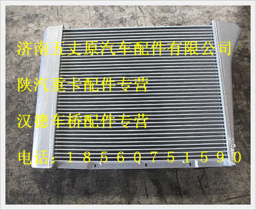 陜汽德龍中冷器總成/DZ91259531101