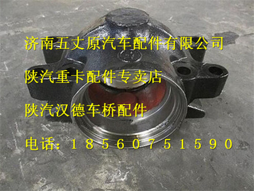 陜汽德龍F(tuán)3000雙卡平衡軸殼/DZ91259520038