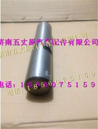 陜汽德龍新M3000轉(zhuǎn)向節(jié)主銷(xiāo)