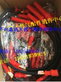 612600190948,濰柴WP10LNG CNG高壓點(diǎn)火線,濟(jì)南鑫通天然氣銷售中心