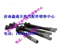 公交客車湘火炬高壓線