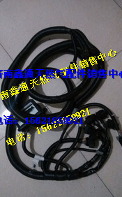 濰柴LNG氣體機ECM線束/612600190499