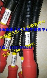 濰柴LNG氣體機(jī)高壓線