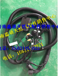 612600190484,濰柴氣體機(jī)ECU線(xiàn)束,濟(jì)南鑫通天然氣銷(xiāo)售中心