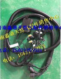 612600190484,濰柴氣體機(jī)ECU線(xiàn)束,濟(jì)南鑫通天然氣銷(xiāo)售中心