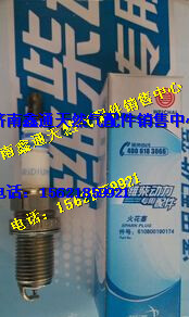 濰柴氣體機博世火花塞/610800190174