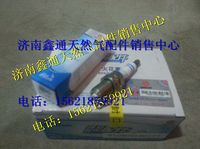 612600190174,濰柴天然氣火花塞,濟(jì)南鑫通天然氣銷售中心