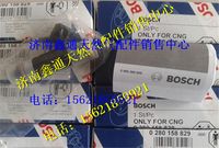 028 0258 829,博士濰柴天然氣發(fā)動機(jī)燃?xì)鈬娮?濟(jì)南鑫通天然氣銷售中心