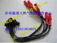 南充天然氣發(fā)動機(jī)NQ120高壓線,南充天然氣發(fā)動機(jī)NQ120高壓線,濟(jì)南鑫通天然氣銷售中心