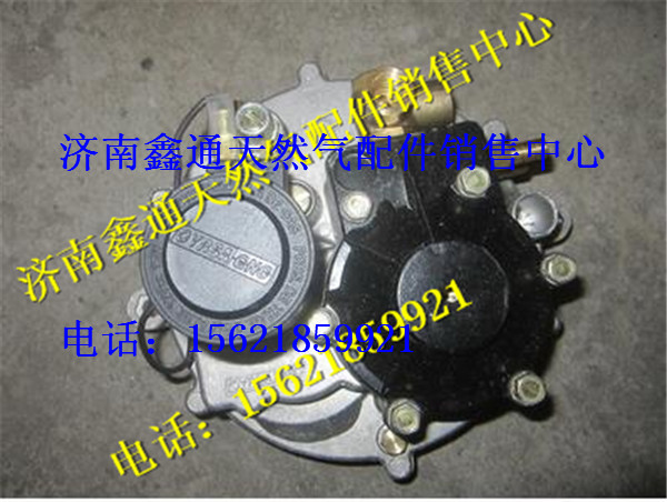 36.2D-01012-A02,南充天然氣發(fā)動(dòng)機(jī)減壓器,濟(jì)南鑫通天然氣銷售中心