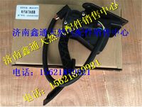 JZ93259570085,陜汽德龍?zhí)烊粴怆娮佑烷T(mén)踏板,濟(jì)南鑫通天然氣銷(xiāo)售中心