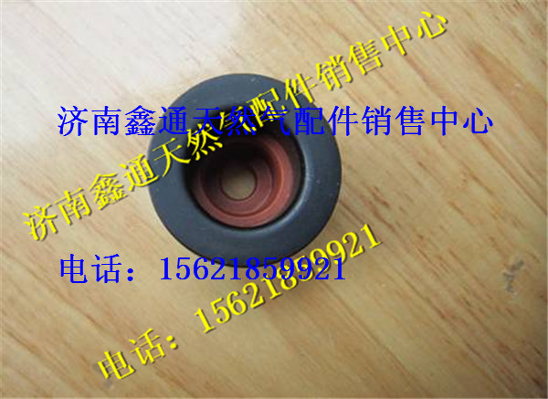 D04-107-30,上柴D6114天然氣氣門油封,濟南鑫通天然氣銷售中心
