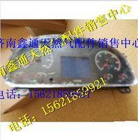 重汽天然氣儀表