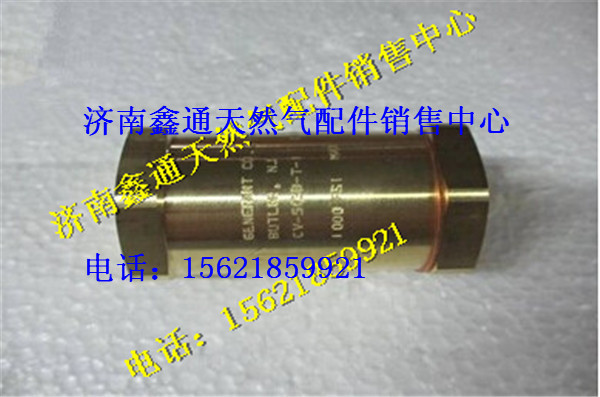 西安德森LNG氣瓶進液單向閥/WG10000013（DZ9531956059