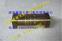 西安德森LNG氣瓶進液單向閥