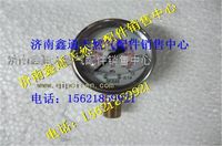 西安德森LNG氣瓶徑向壓力表