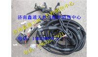 T88-056-03a,上柴天然氣發(fā)動機線束,濟南鑫通天然氣銷售中心