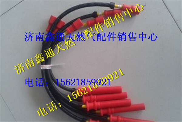 濰柴LNG天然氣發(fā)動(dòng)機(jī)高壓線,濰柴LNG天然氣發(fā)動(dòng)機(jī)高壓線,濟(jì)南鑫通天然氣銷(xiāo)售中心