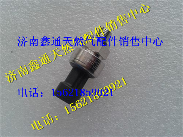 濰柴LNG天然氣發(fā)動(dòng)機(jī)壓力傳感器,濰柴LNG天然氣發(fā)動(dòng)機(jī)壓力傳感器,濟(jì)南鑫通天然氣銷售中心
