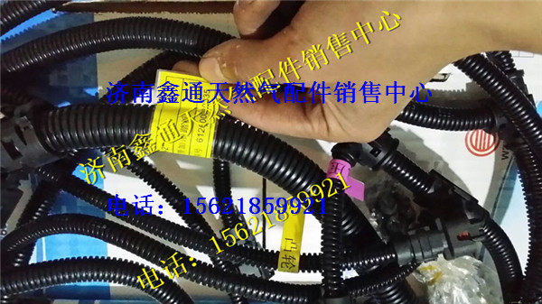 612600080835,濰柴WP10傳感器線束,濟(jì)南鑫通天然氣銷售中心