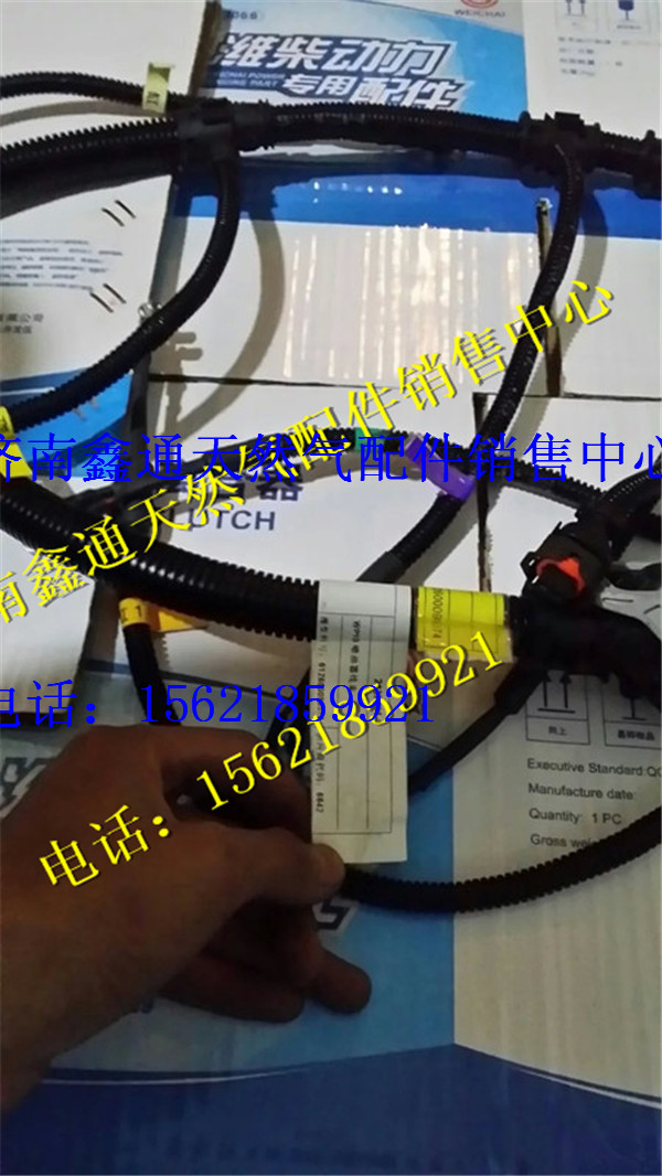 612600090374,濰柴WP10噴油器線束,濟(jì)南鑫通天然氣銷售中心