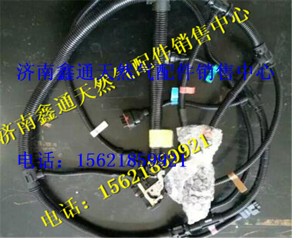 612600090374,濰柴發(fā)動(dòng)機(jī)國三噴油器線束總成,濟(jì)南鑫通天然氣銷售中心