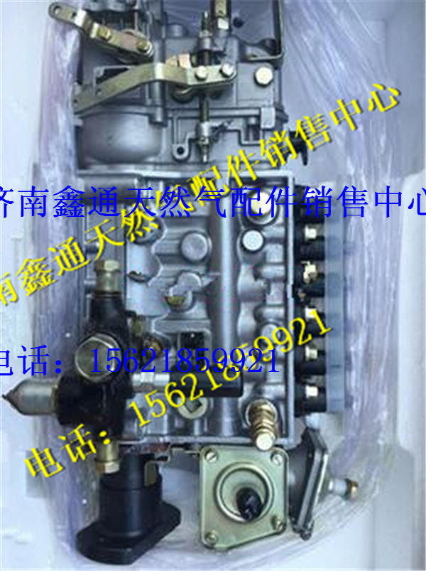 612600081135,濰柴發(fā)動機噴油泵,濟南鑫通天然氣銷售中心