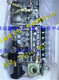 612600081135,濰柴發(fā)動機噴油泵,濟南鑫通天然氣銷售中心