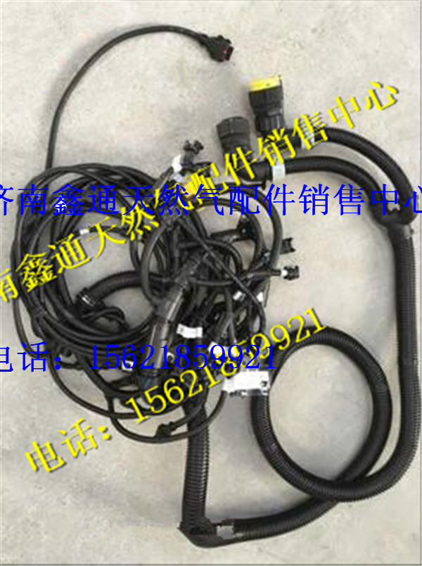 612600190736,濰柴發(fā)動機線束,濟南鑫通天然氣銷售中心
