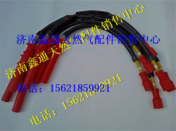 濰柴天然氣發(fā)動機高壓線/612600190948
